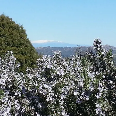 Hotell San Trano Luogosanto