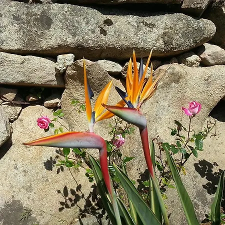 San Trano Hotell Luogosanto