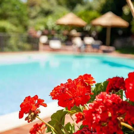 Hotel San Trano Luogosanto